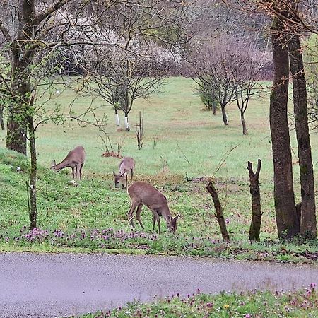 Double Paradise Slunj Eksteriør bilde